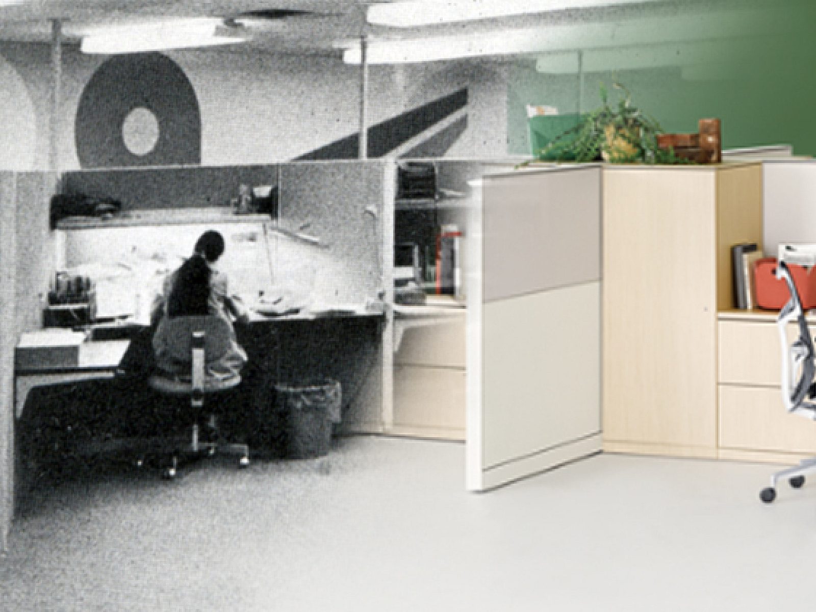 APG historypresent primary