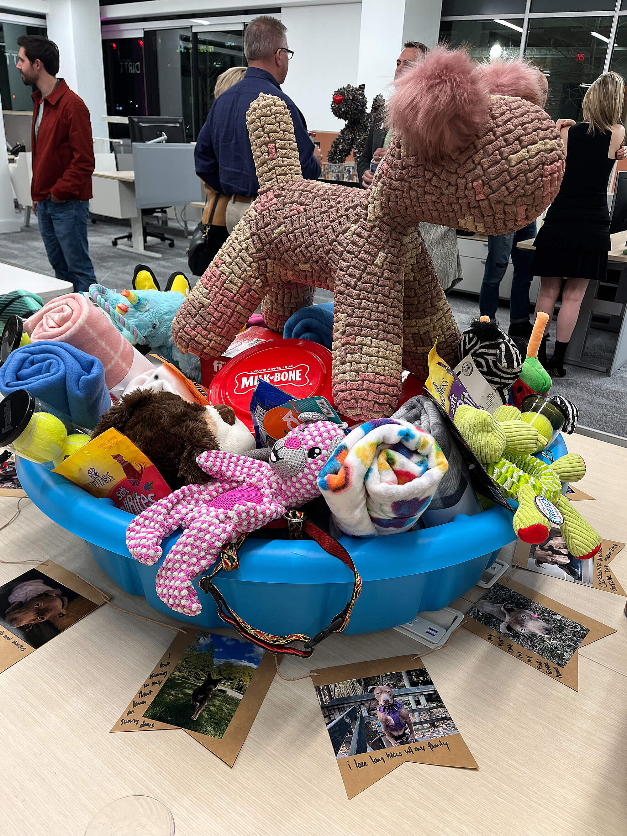 CMM Cleveland JLL Puppy