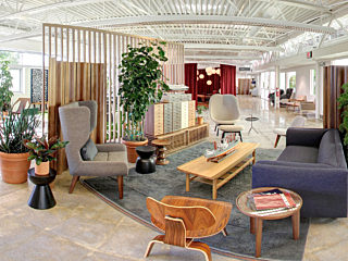 Open, casual space with comtemporary furniture including sofa, lounge chair, occasional tables, and plants for texture.